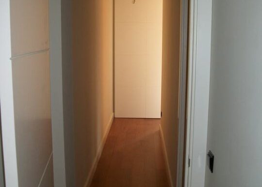 IMG_8